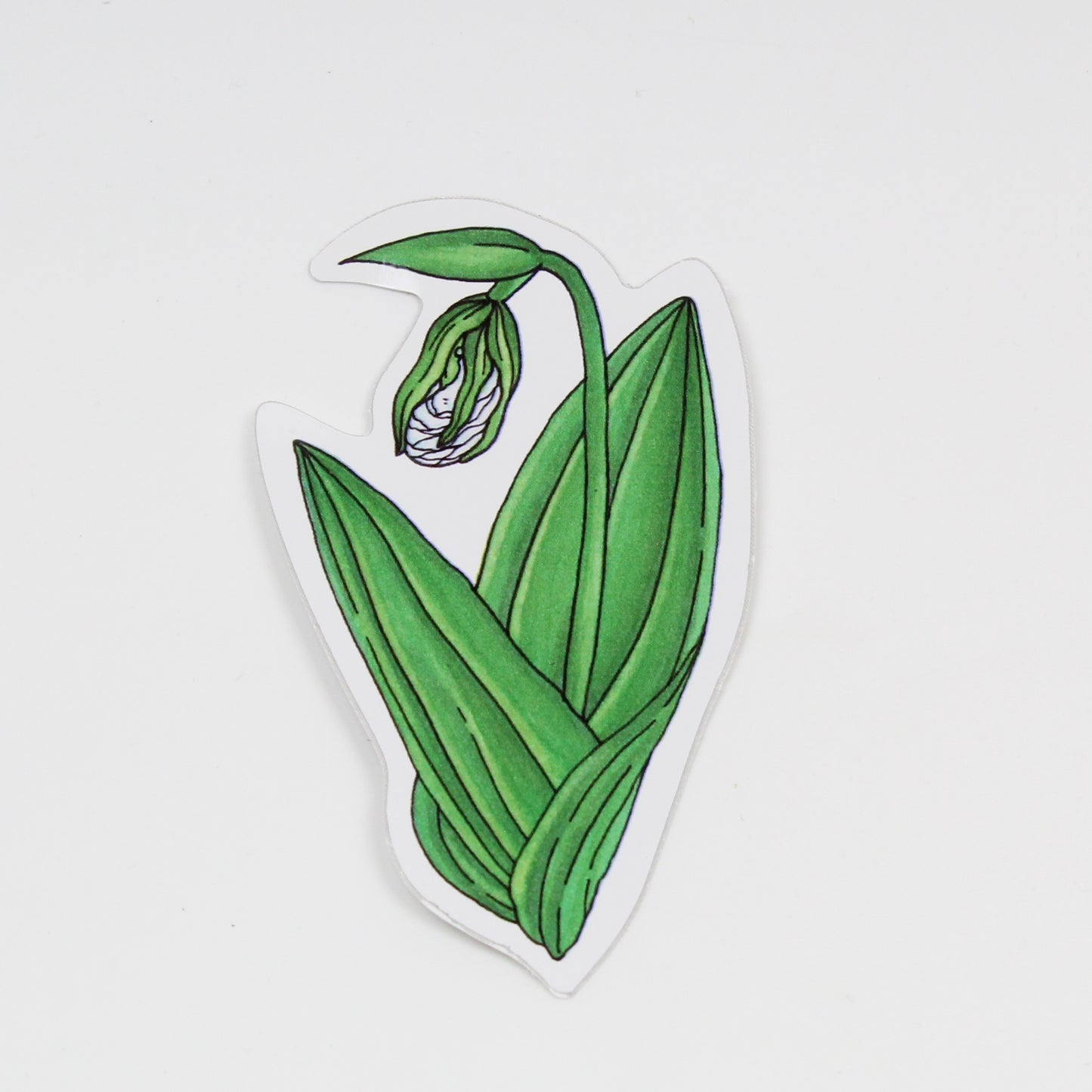 White Lady Slipper Sticker