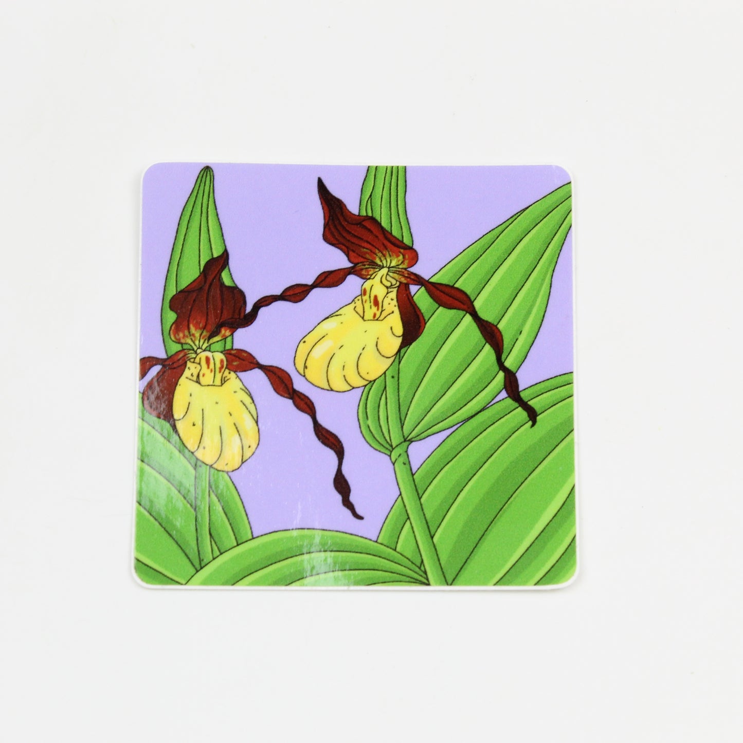 Yellow Lady Slipper Sticker