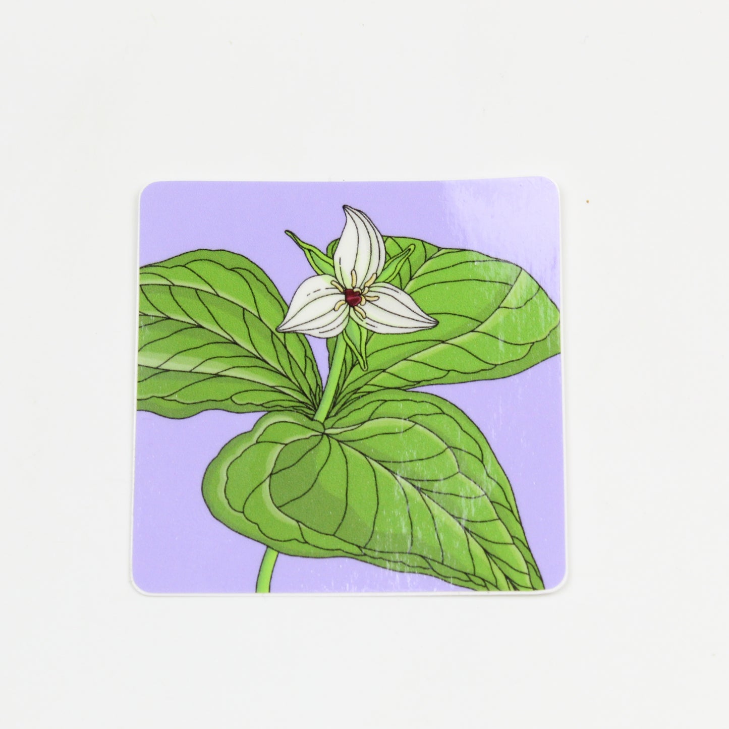 Trillium Simile Sticker