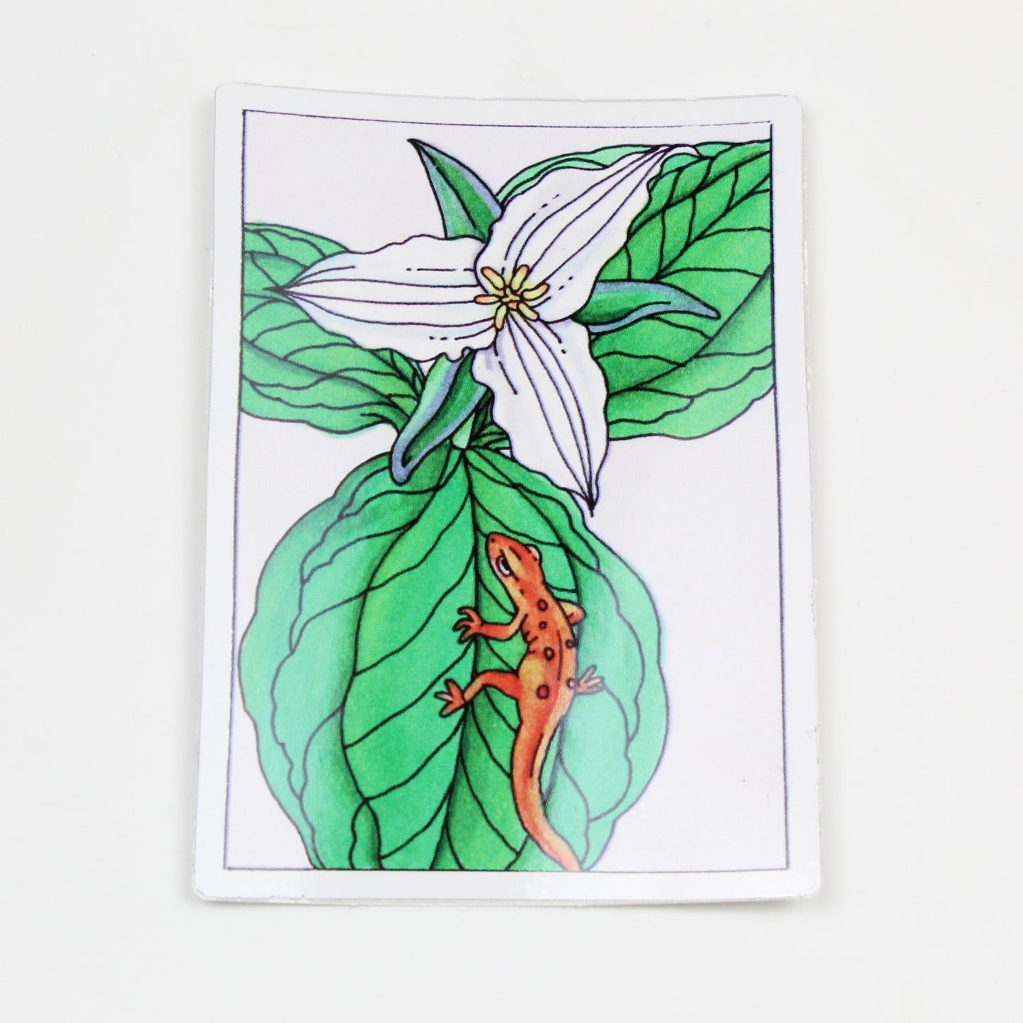Eft on the Trillium Sticker