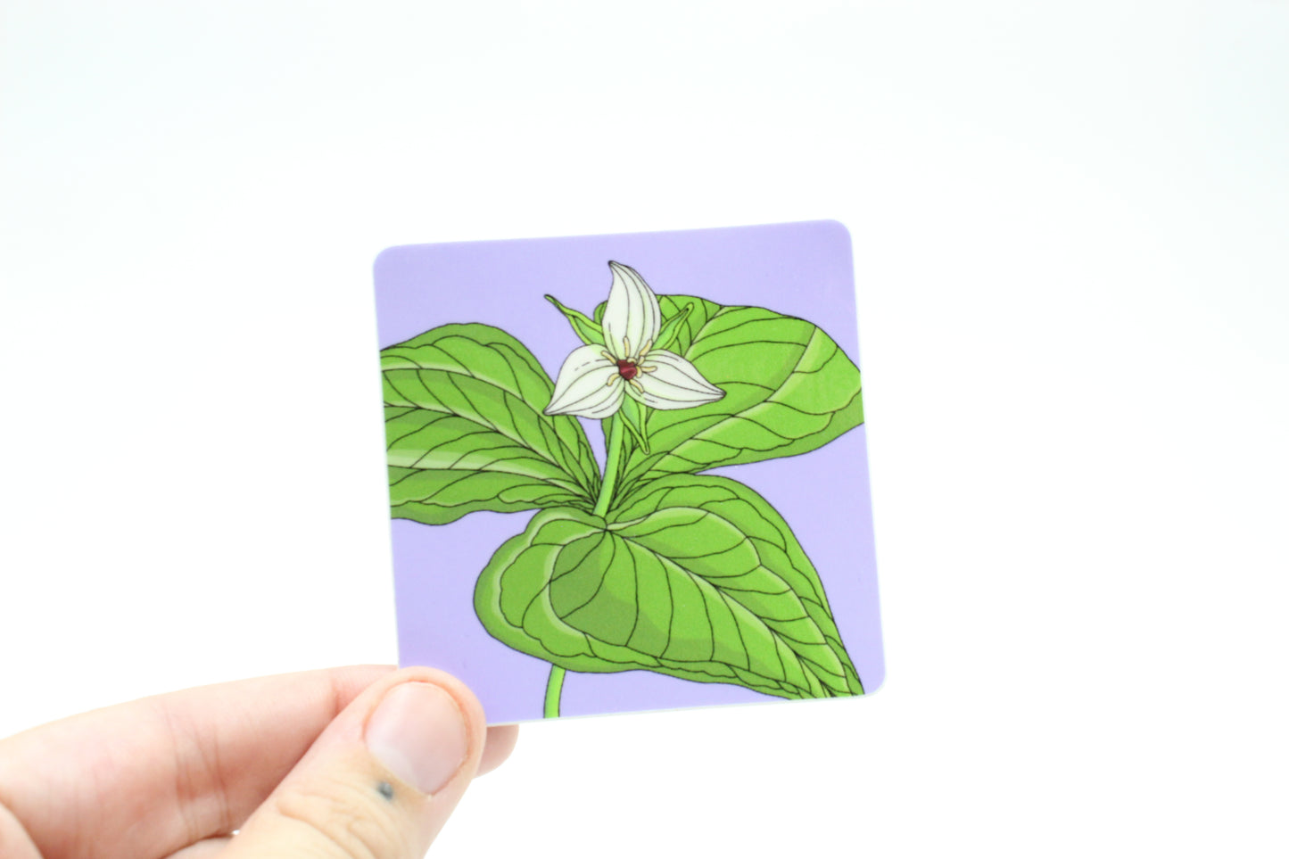 Trillium Simile Sticker