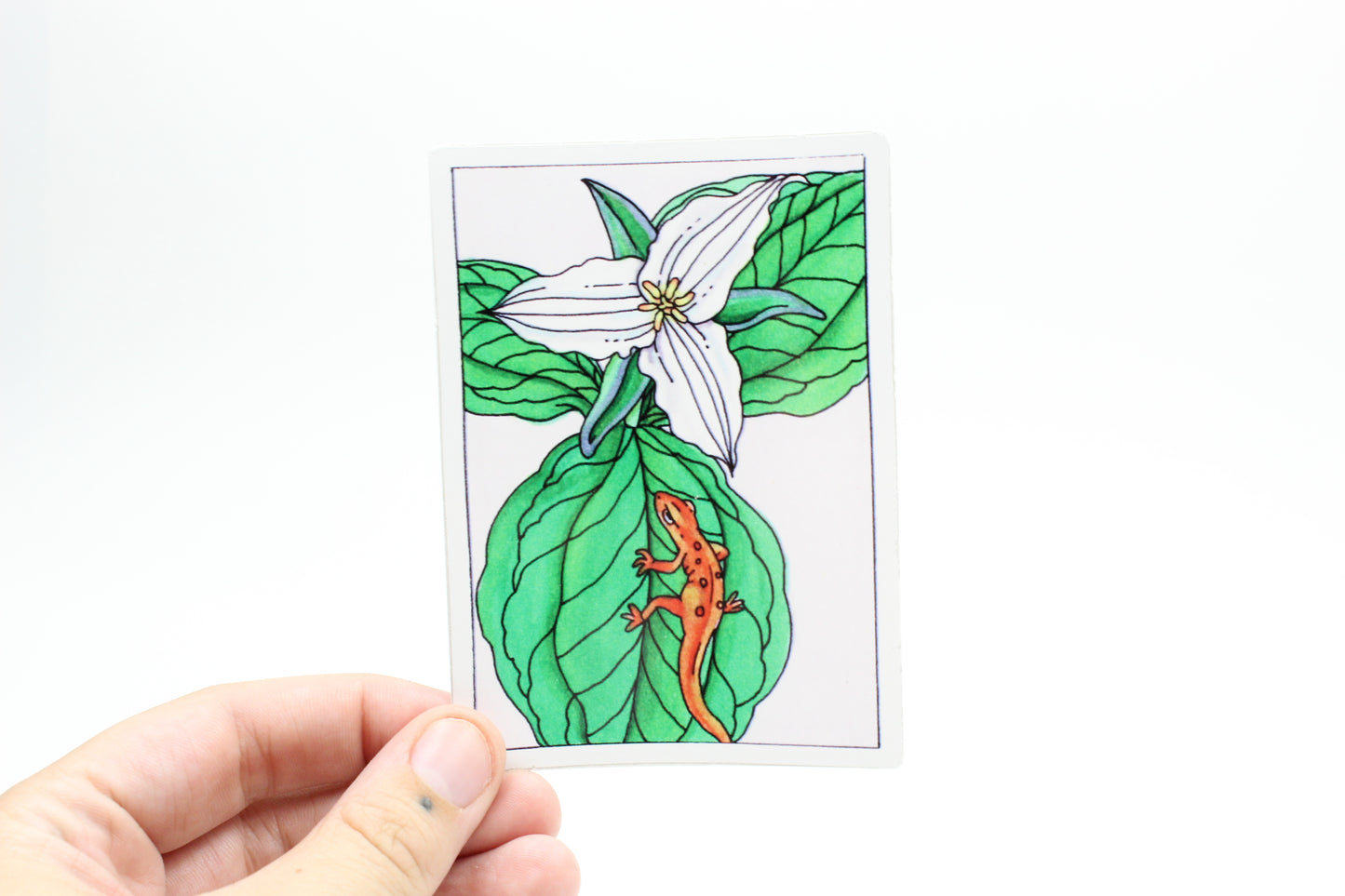 Eft on the Trillium Sticker