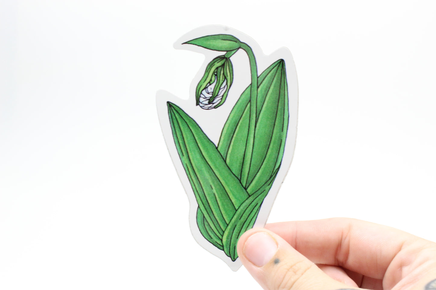 White Lady Slipper Sticker
