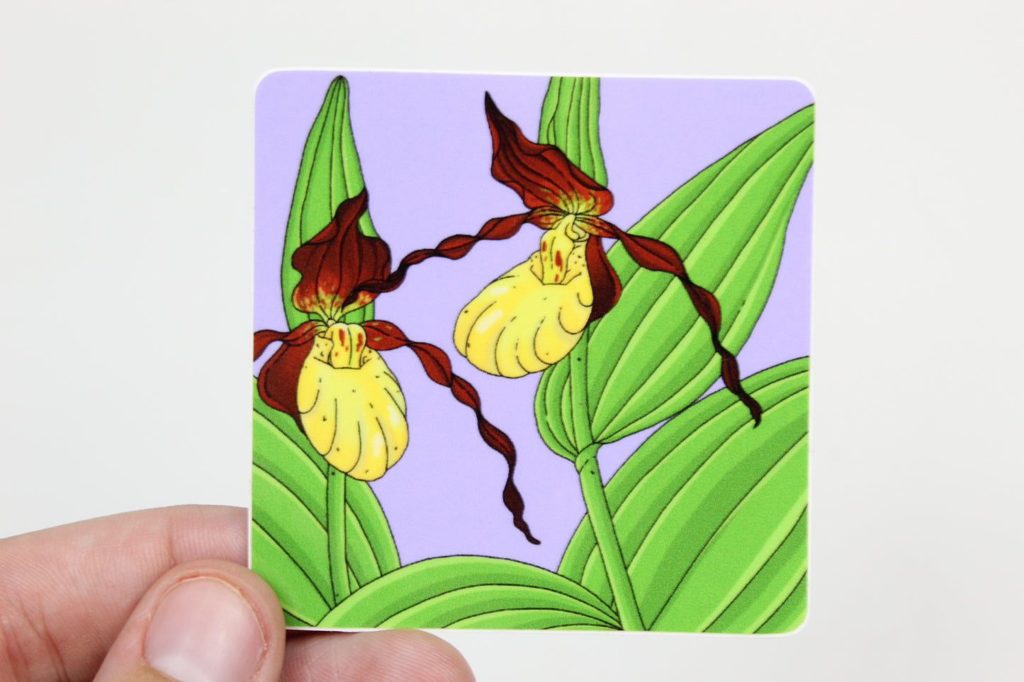 Yellow Lady Slipper Sticker