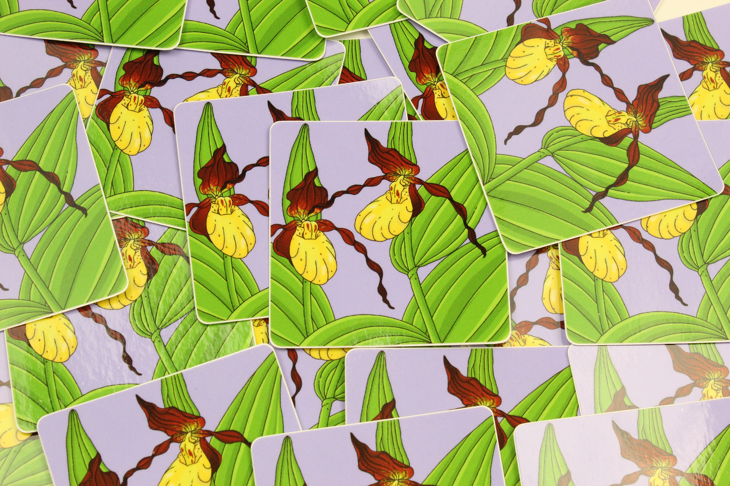 Yellow Lady Slipper Sticker