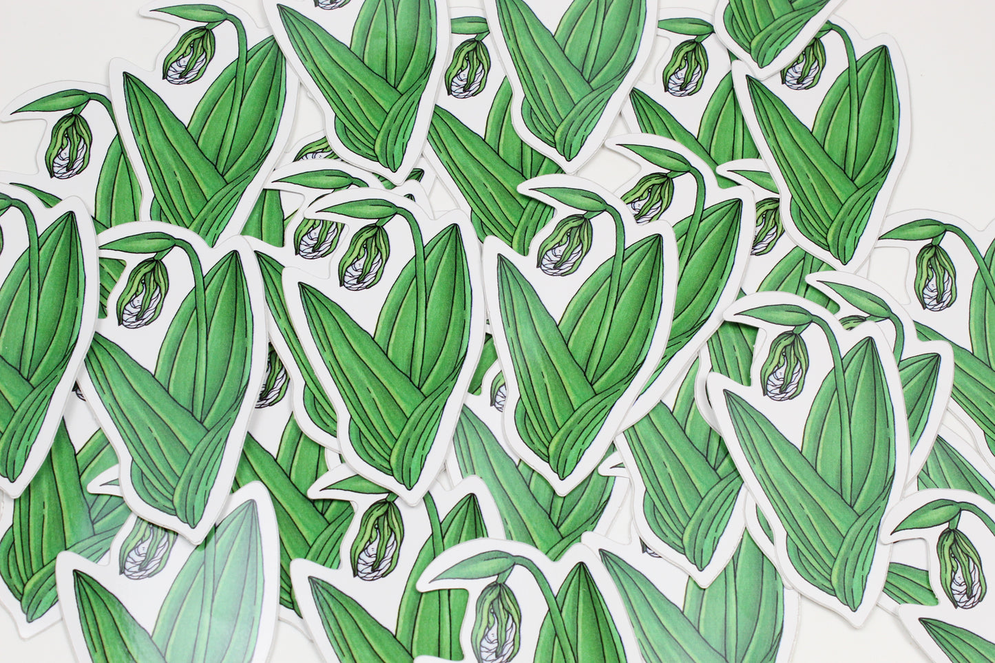 White Lady Slipper Sticker