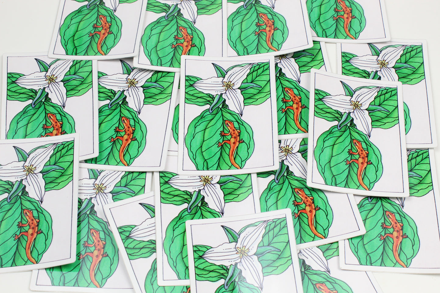 Eft on the Trillium Sticker