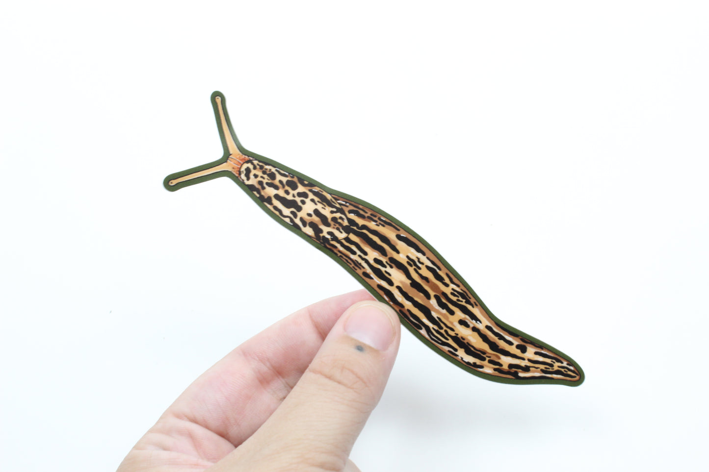 Leopard Slug Sticker
