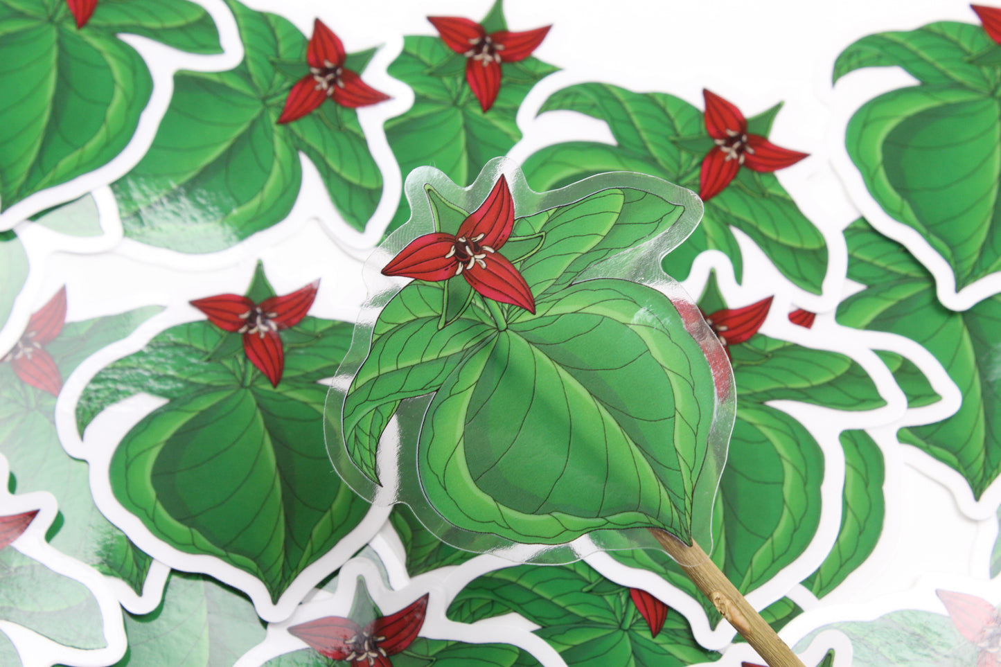 Red Trillium Sticker