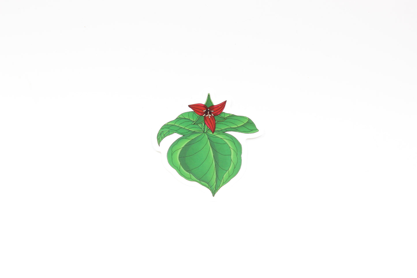 Red Trillium Sticker