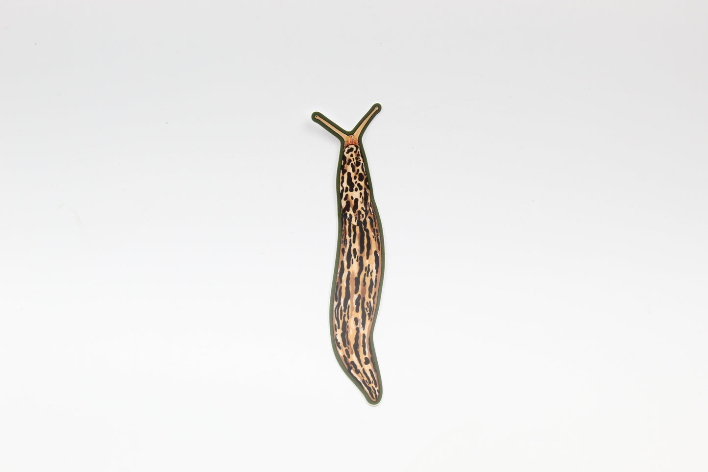 Leopard Slug Sticker