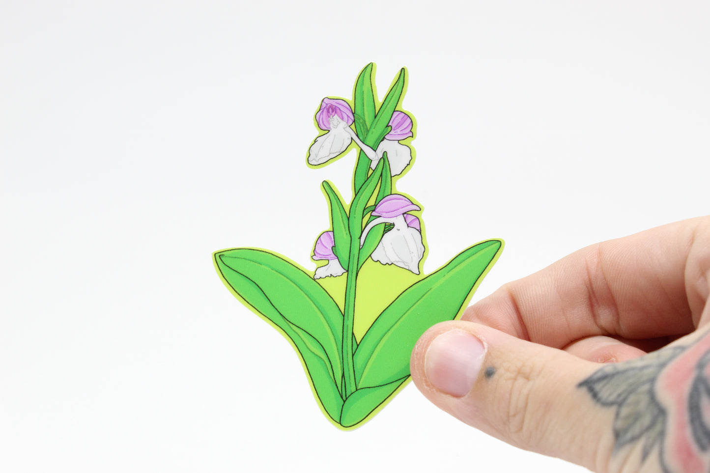 Showy Orchid Sticker
