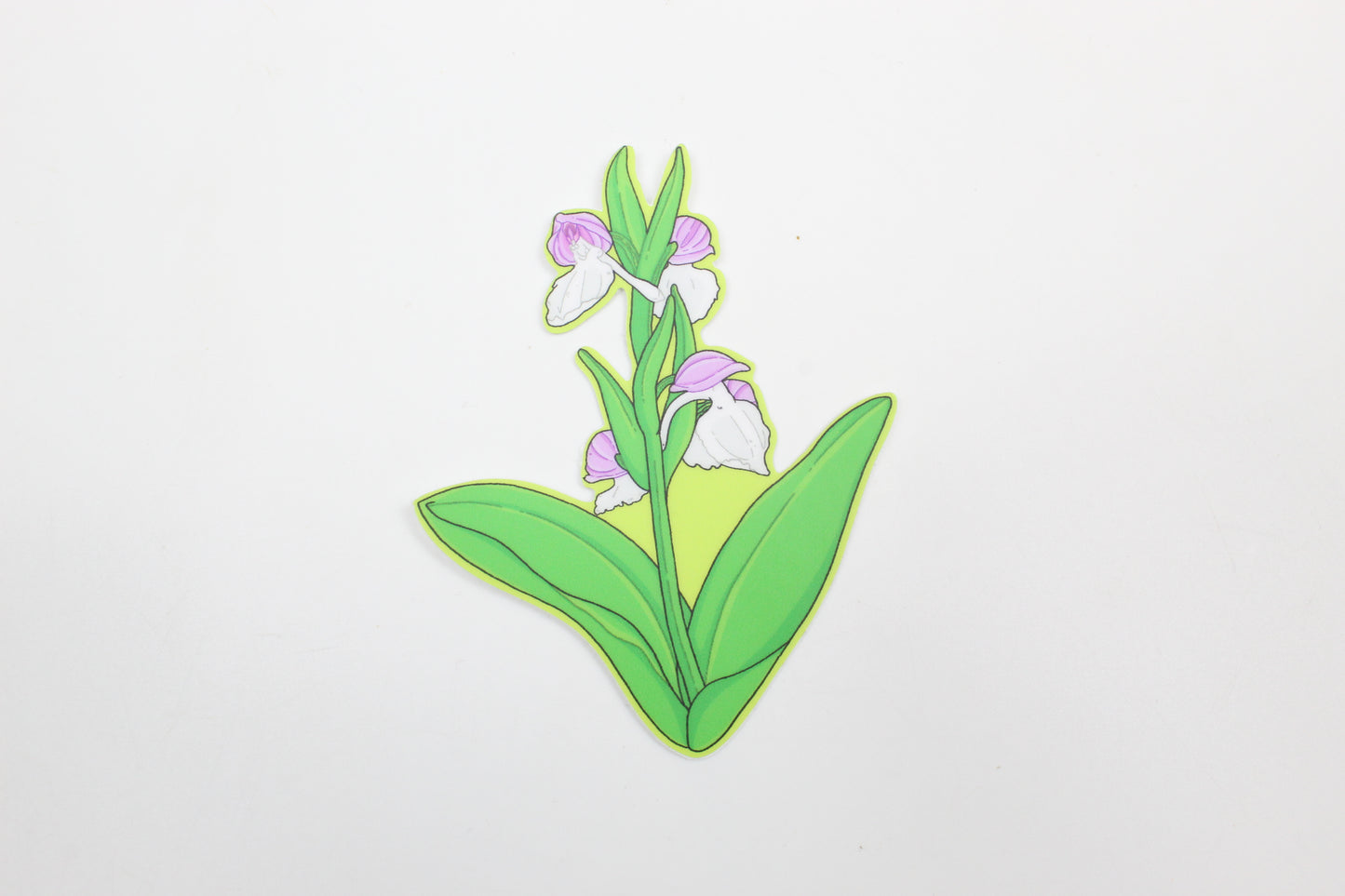 Showy Orchid Sticker