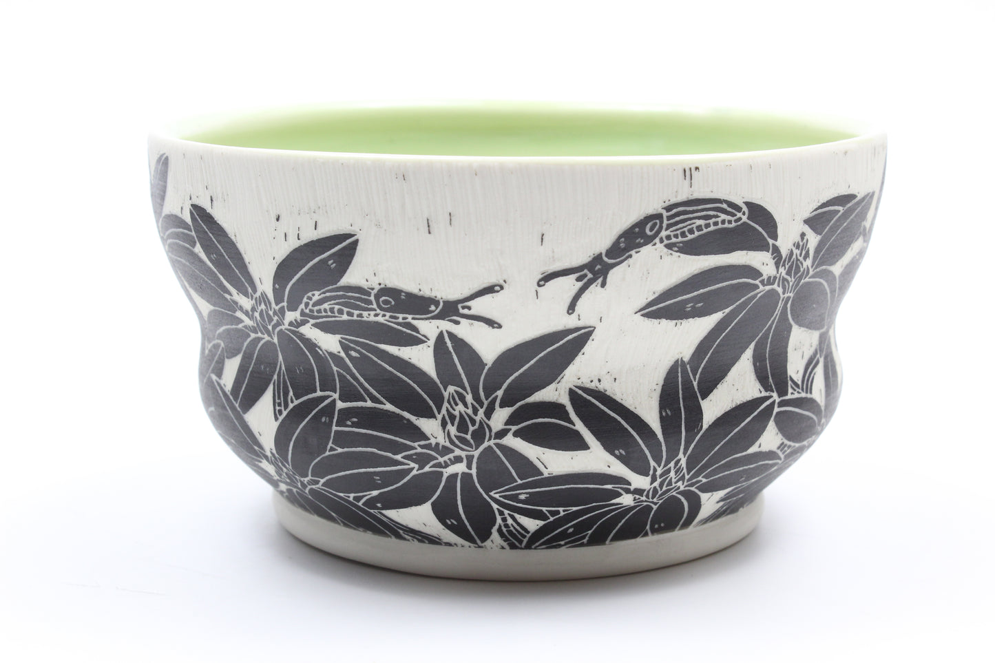Slug Reach Soup bowl