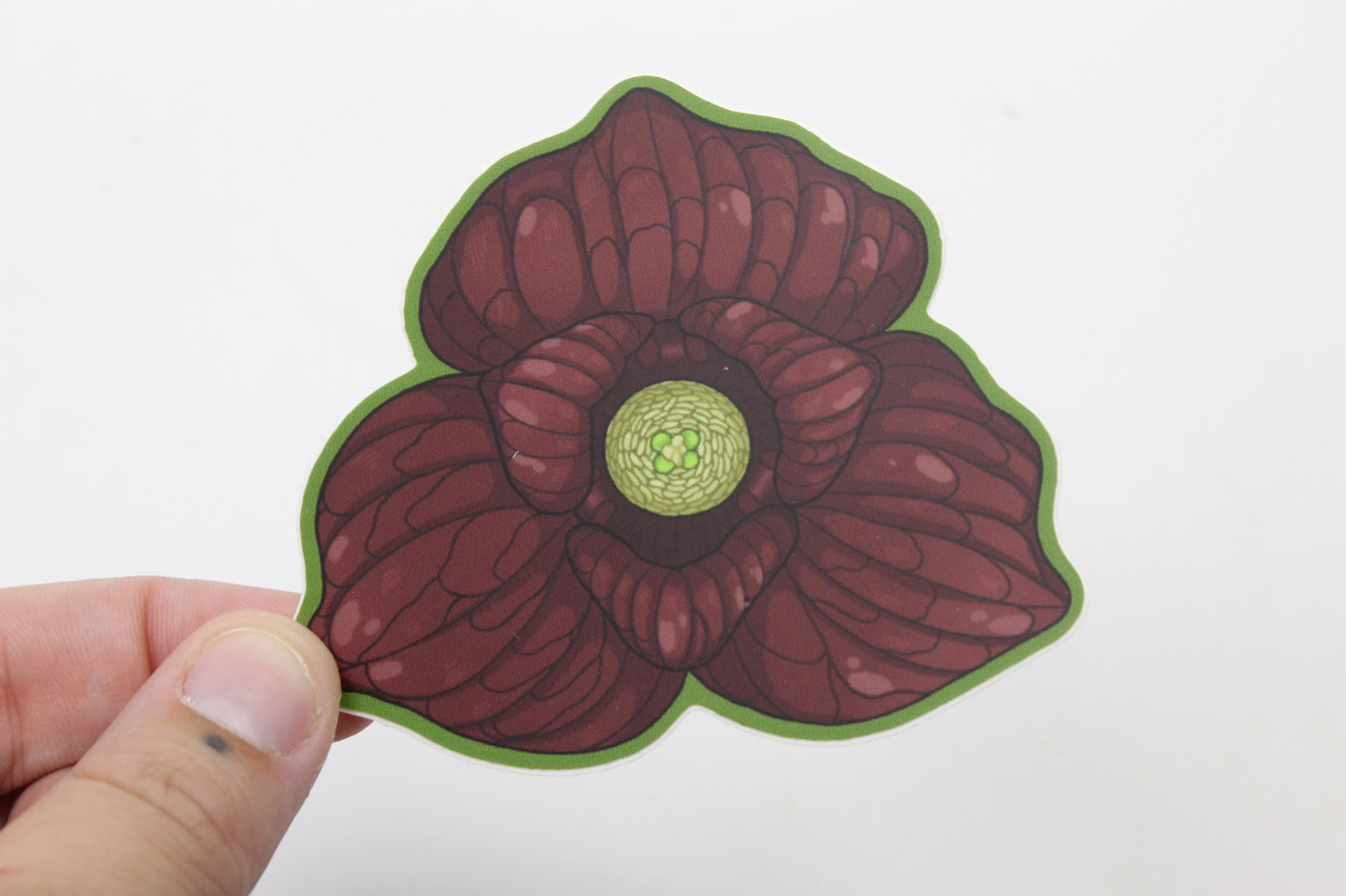 Paw Paw flower sticker