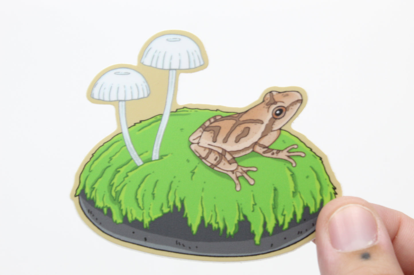 Spring peeper sticker