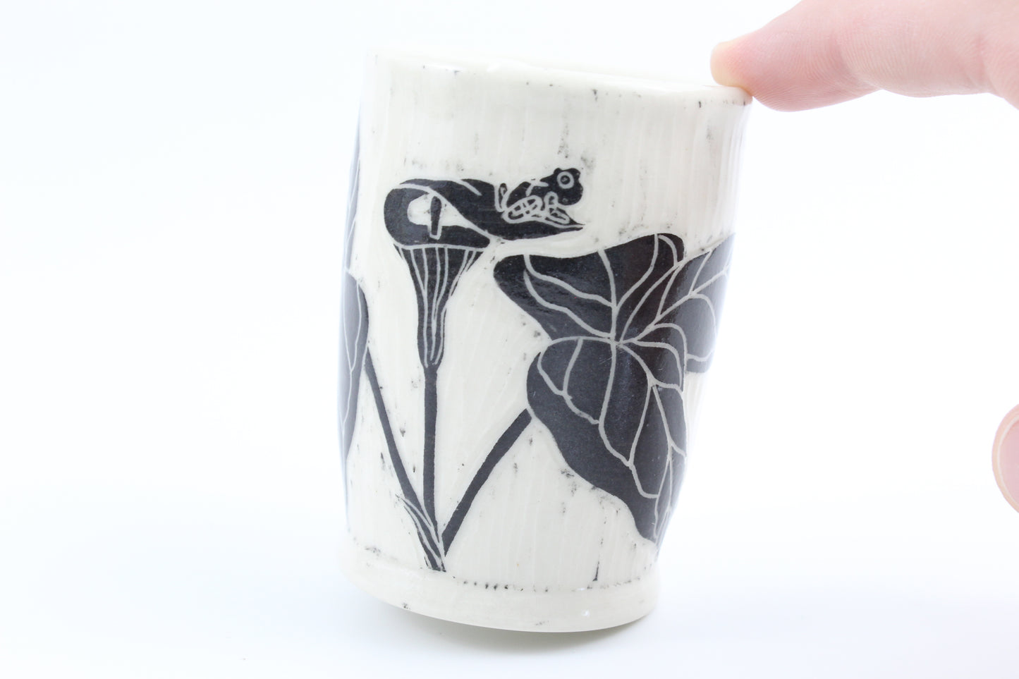 Jack in the Pulpit and Spring peeper vase