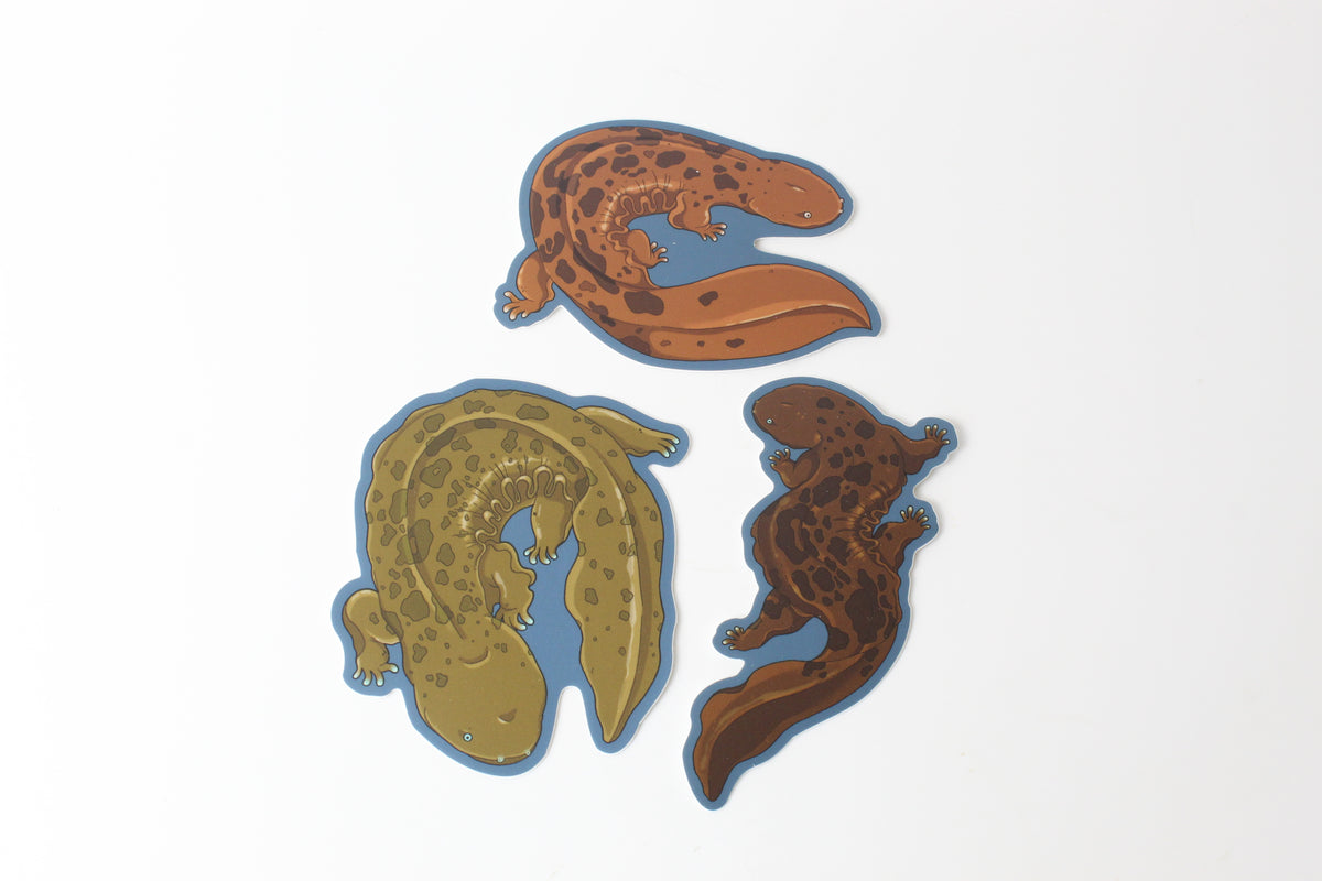 Hellbender Sticker Hellbender Sticker Bundle – grumpydwarfpottery