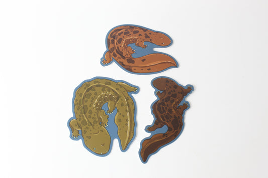 Hellbender Sticker Bundle