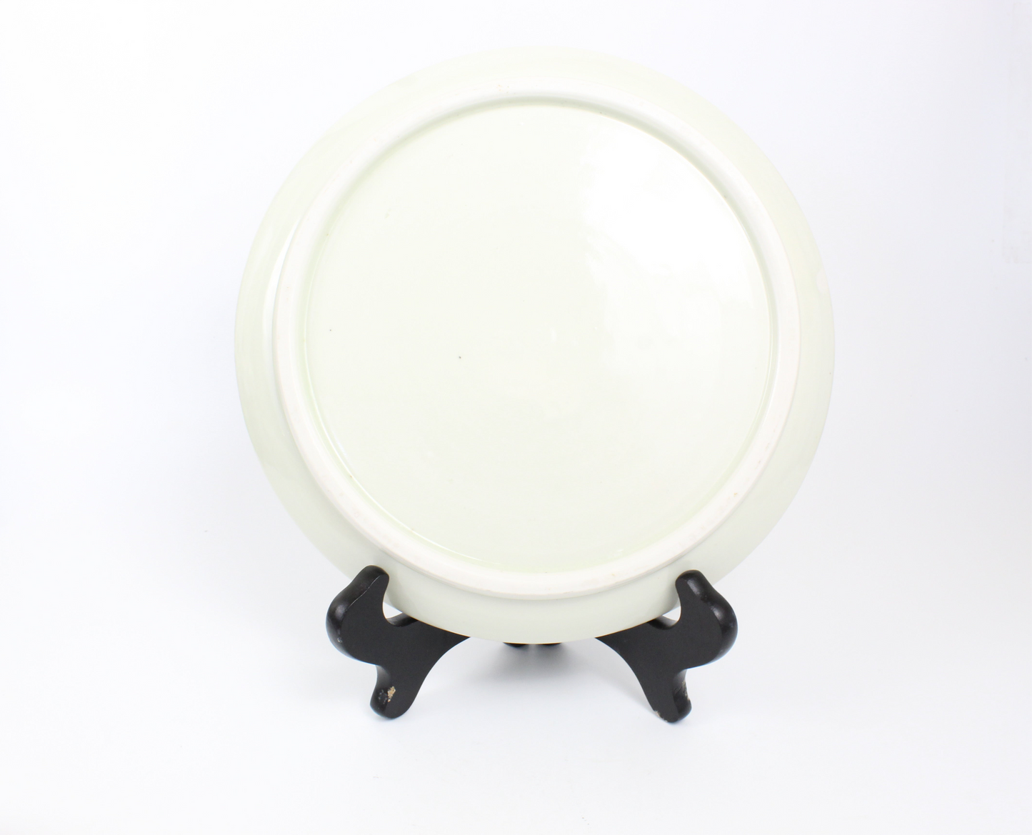 Slug sex dinner plate