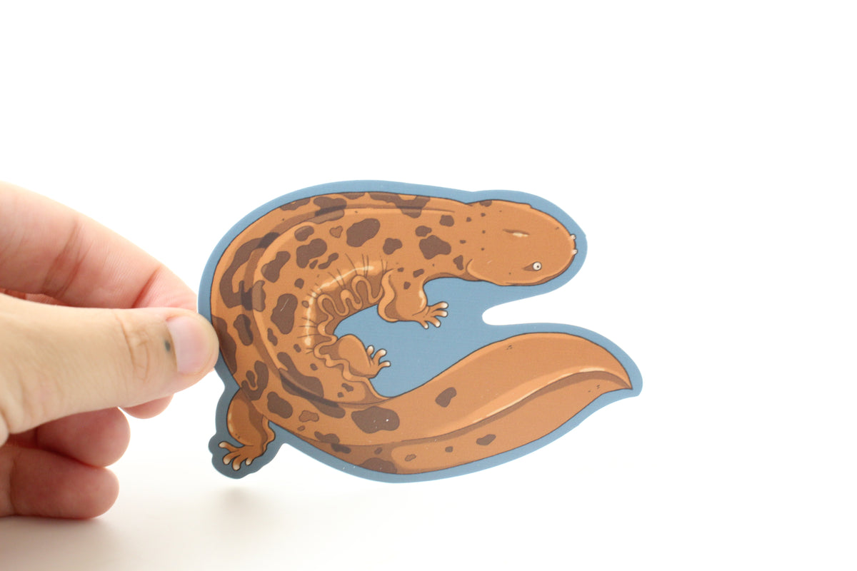 Hellbender Sticker Hellbender Sticker 2 – grumpydwarfpottery