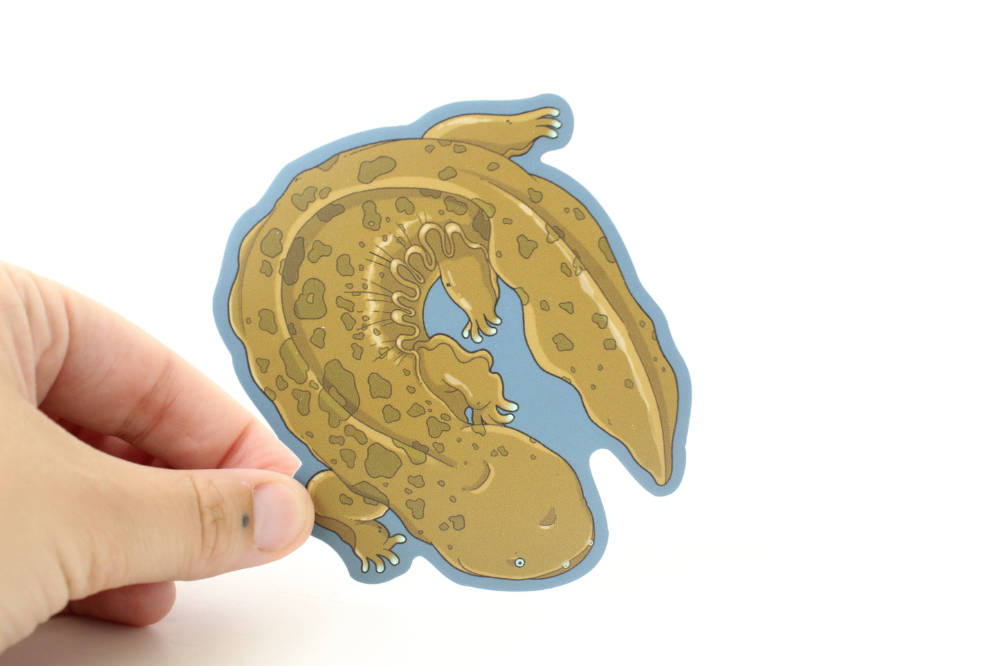 Hellbender Sticker