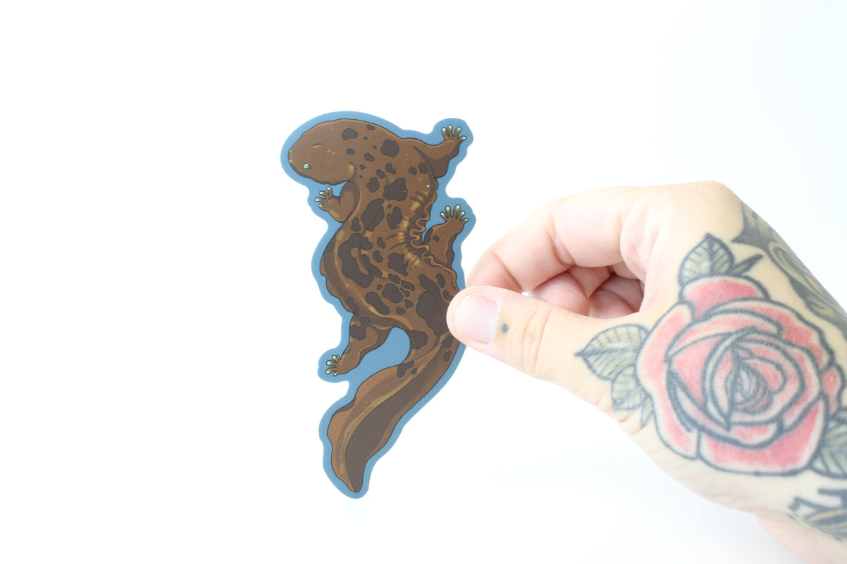 Hellbender Sticker Hellbender Sticker Bundle – grumpydwarfpottery