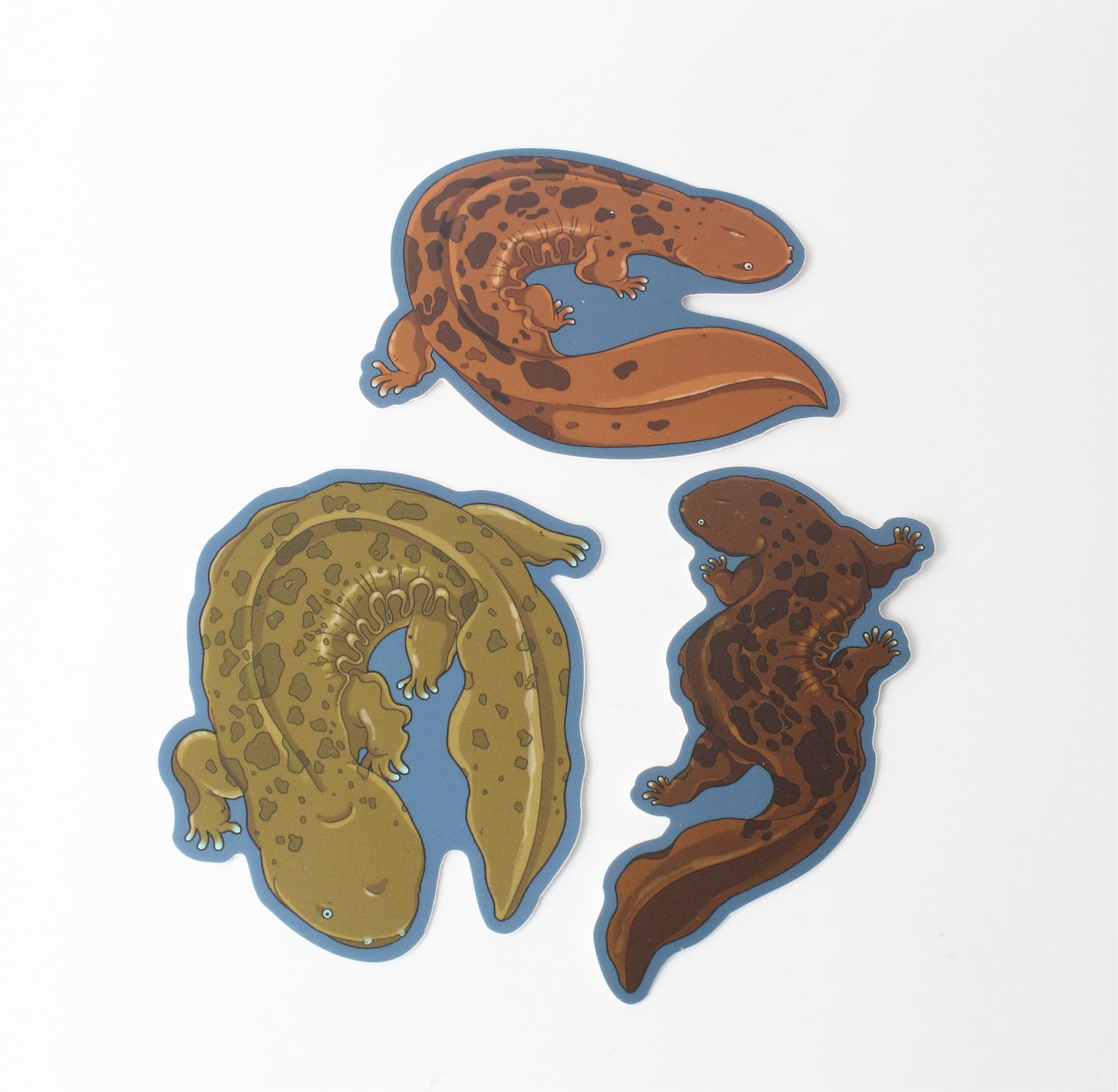 Hellbender Sticker Bundle