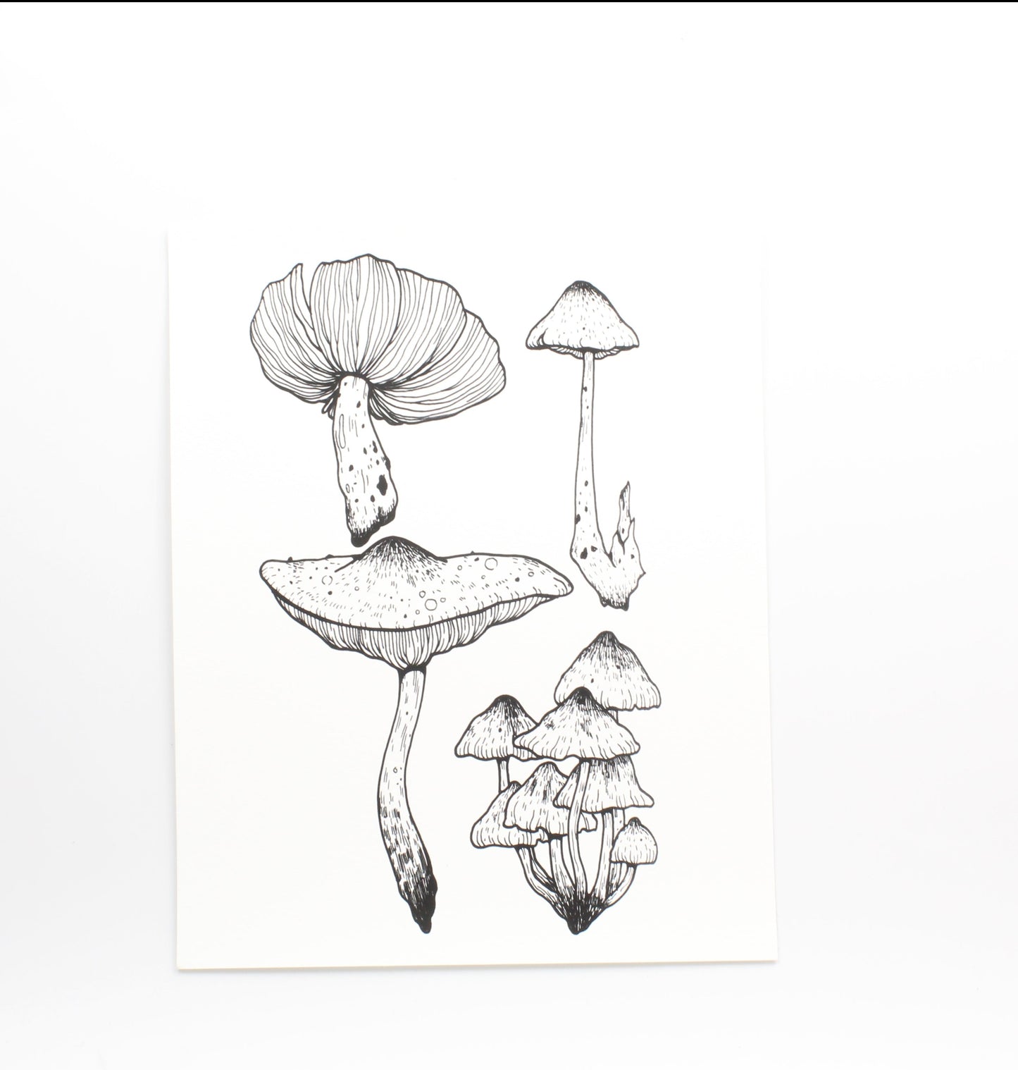 Mushroom Bundle Print var. 1