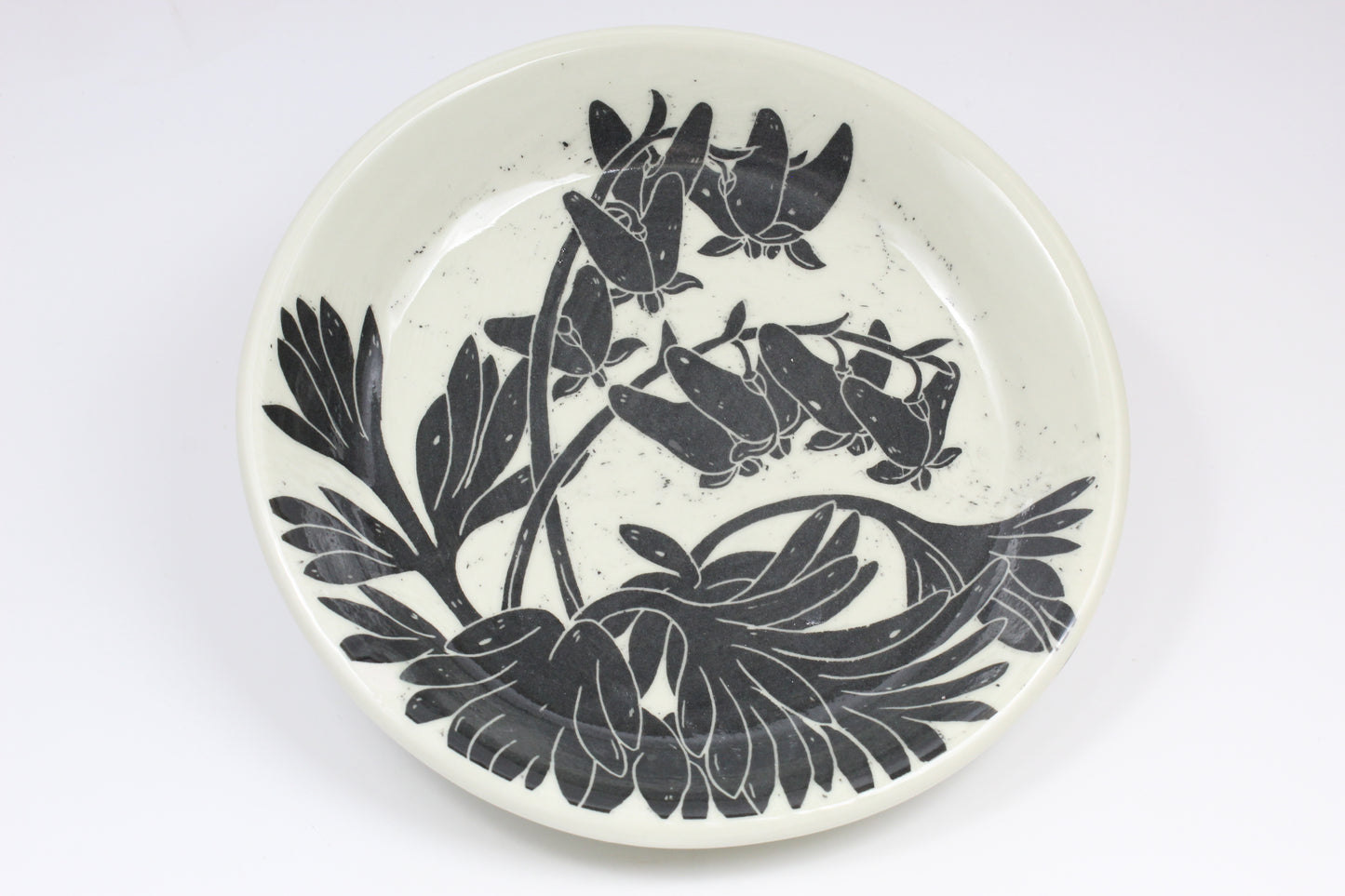 Dutchmans Breeches Plate