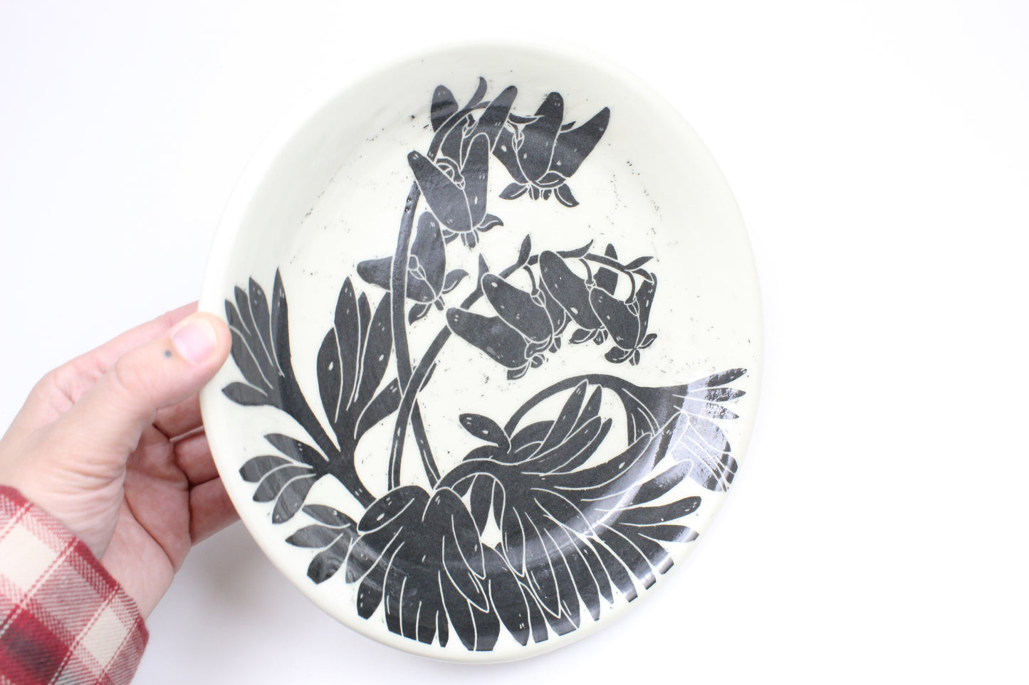 Dutchmans Breeches Plate