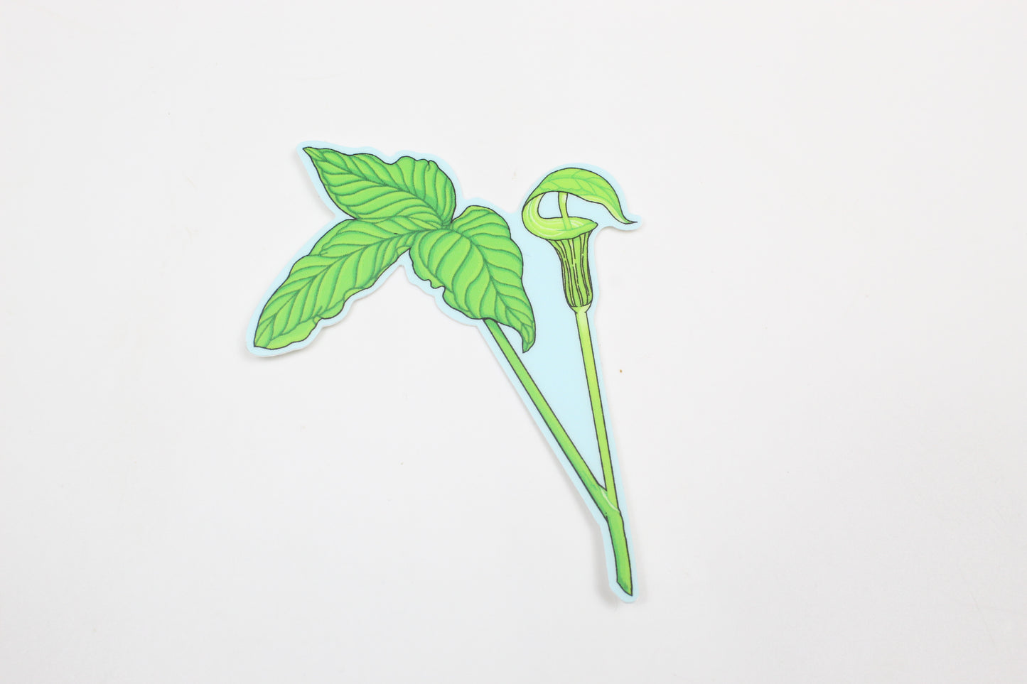 Jack in the Pulpit Sticker