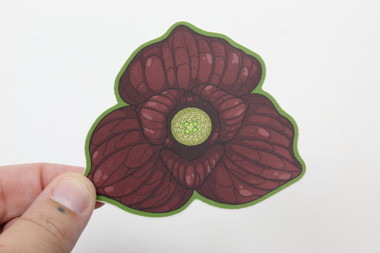 Paw Paw flower sticker