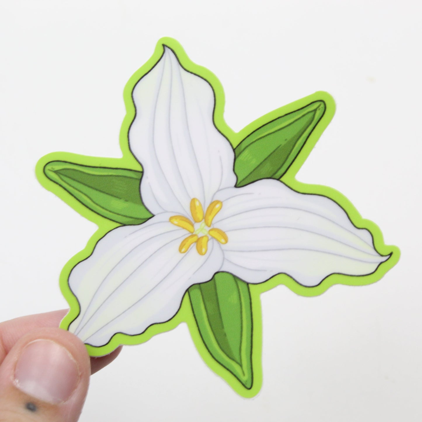 Trillium grandiflorum sticker
