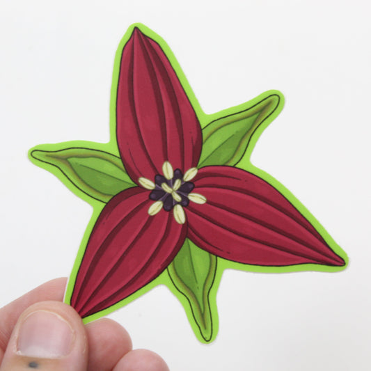Trillium erectum sticker