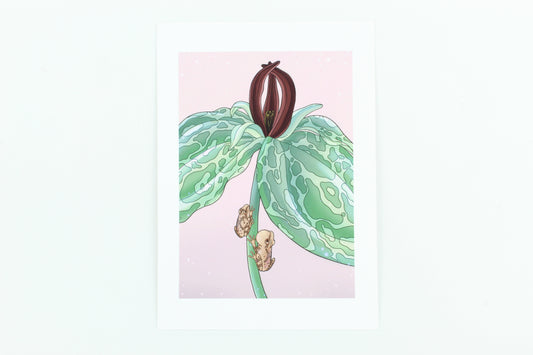 Spring peeper and Toad shade Trillium print