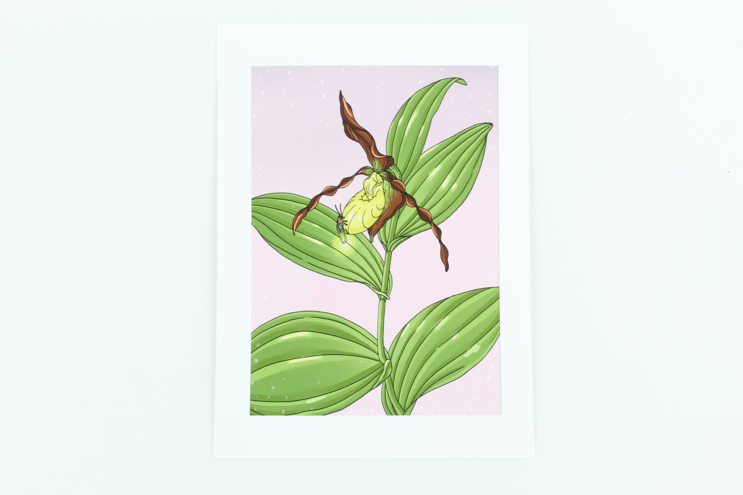 Firefly and Yellow lady slipper print