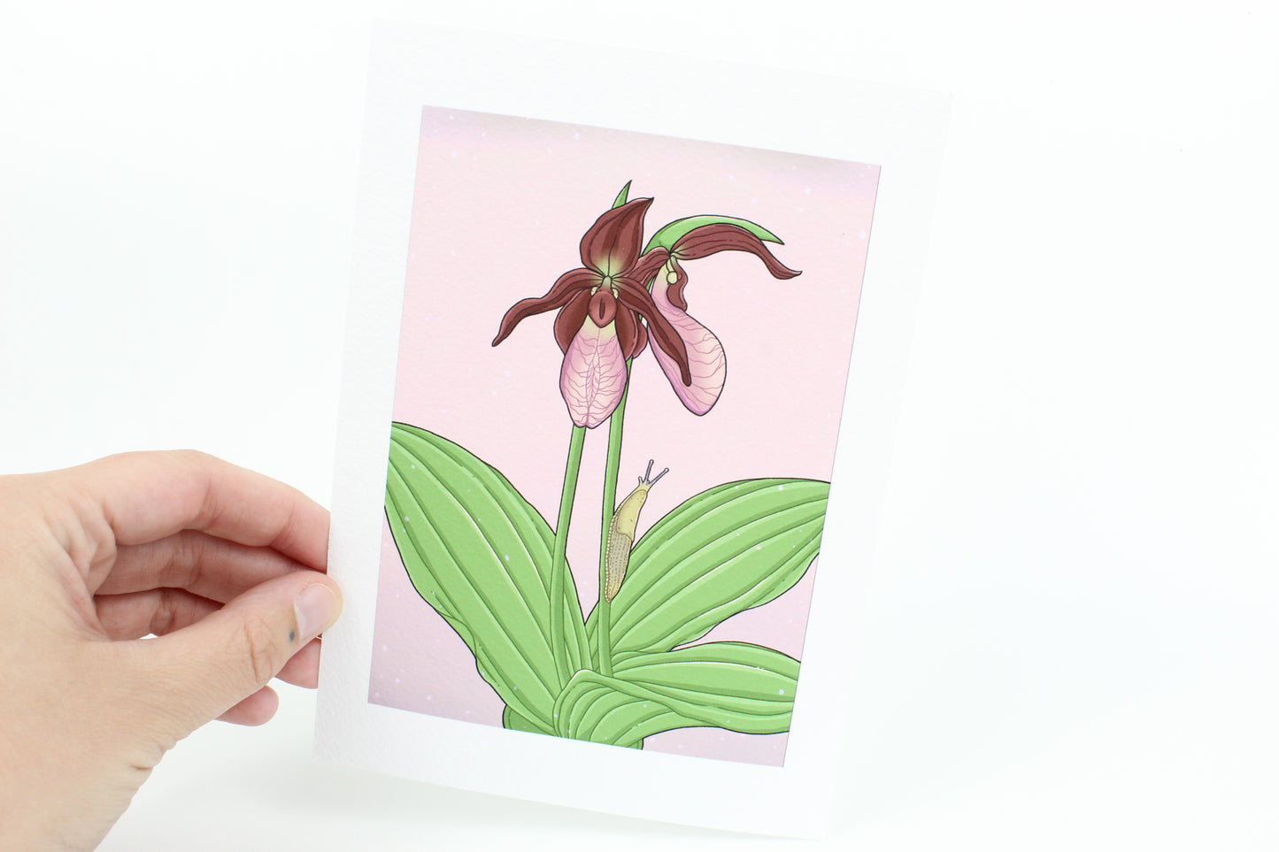 Dusky slug and spring peeper