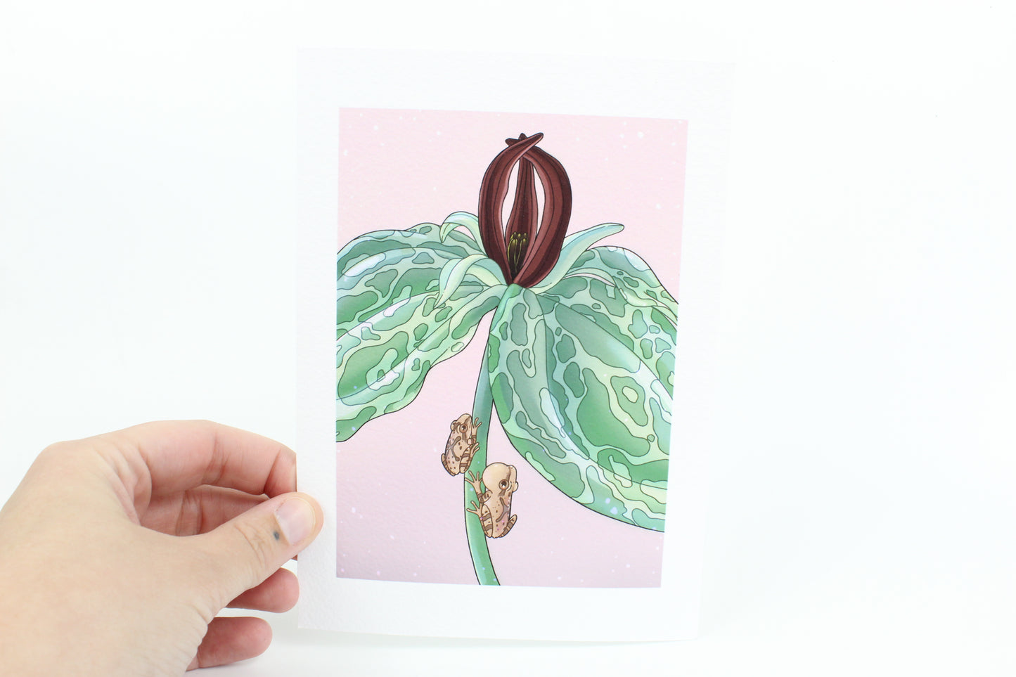 Spring peeper and Toad shade Trillium print
