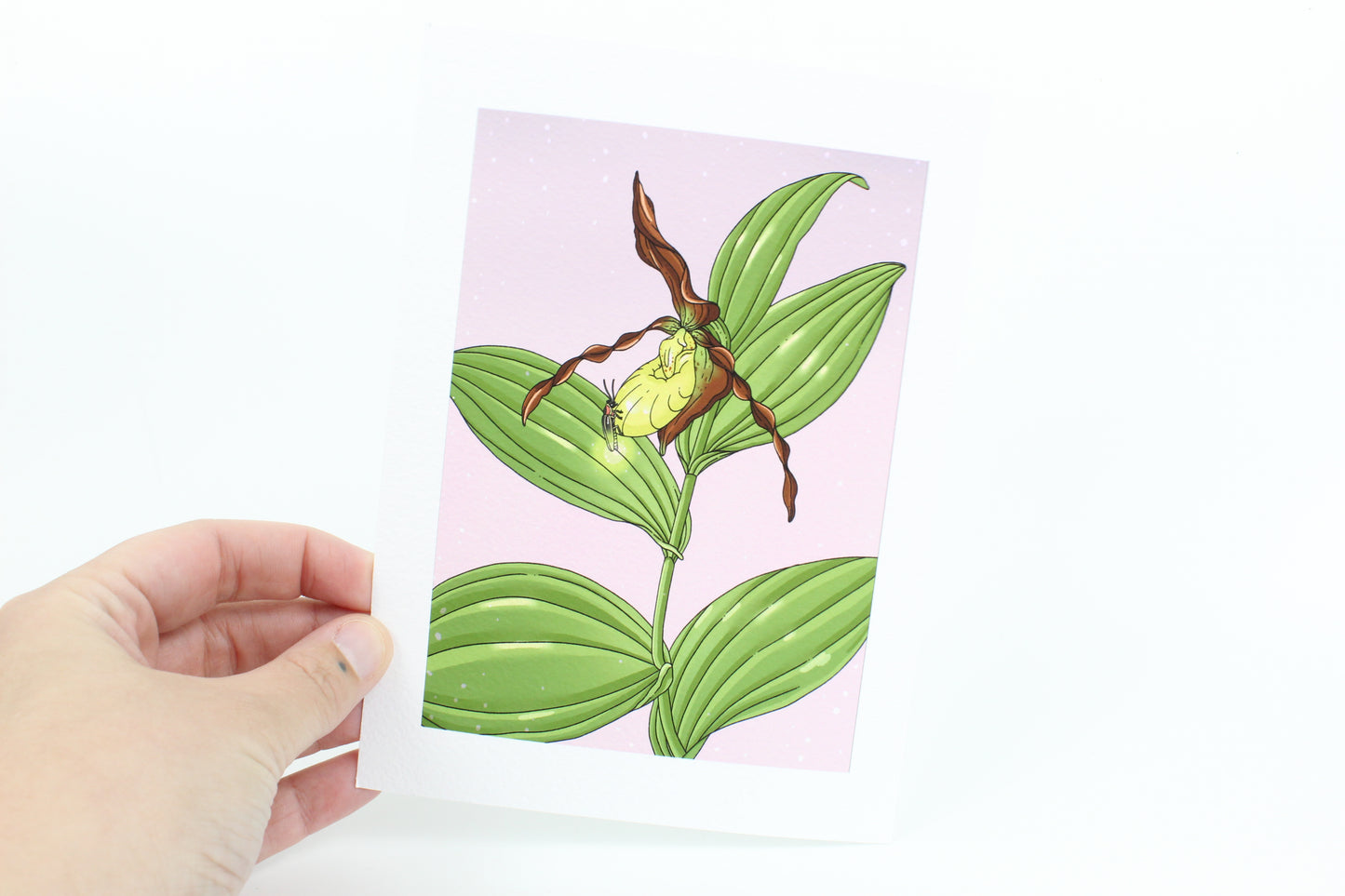 Firefly and Yellow lady slipper print