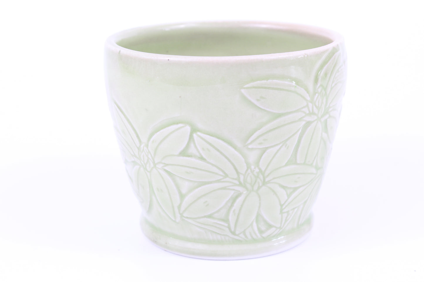 Rhododendron and slug mug