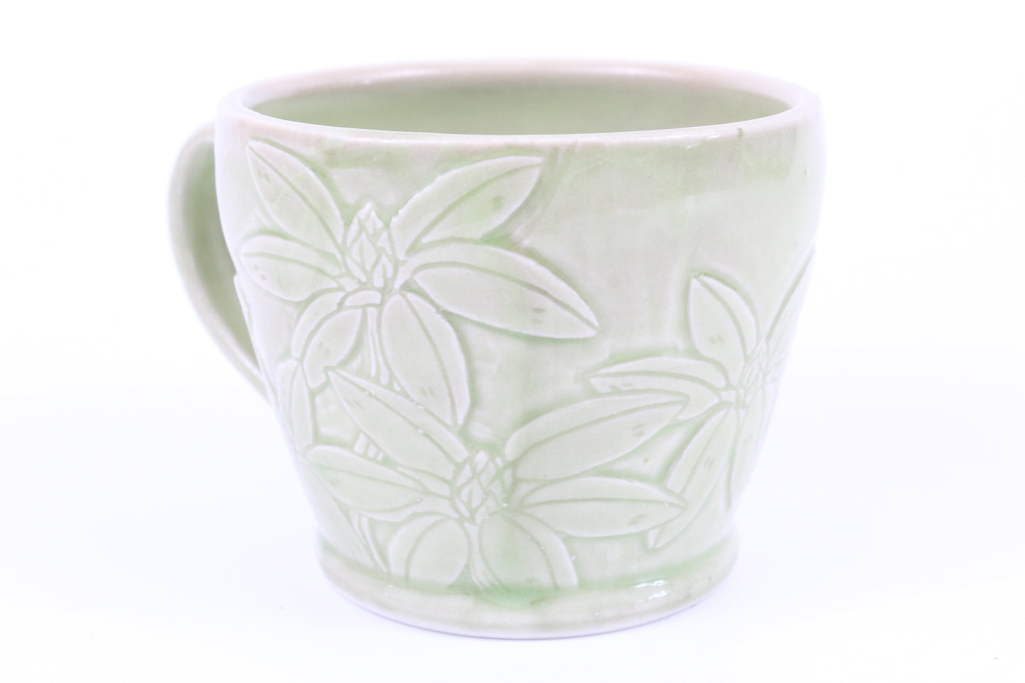 Rhododendron and slug mug