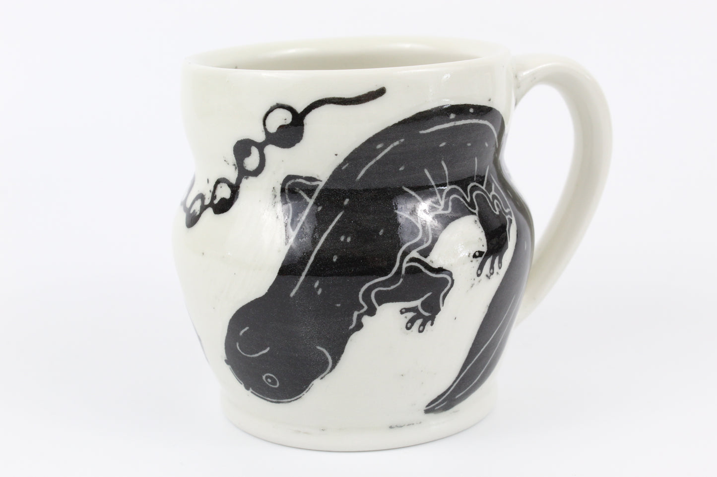 Hellbender and eggs mug