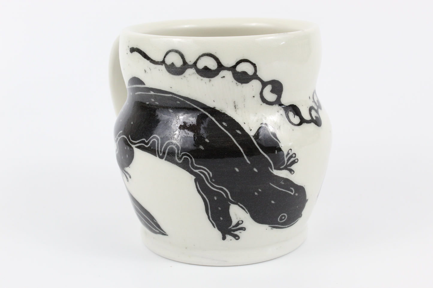 Hellbender and eggs mug