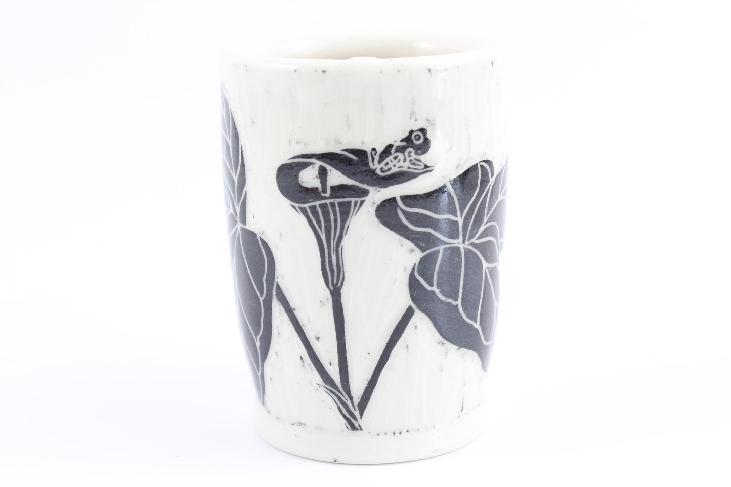 Jack in the Pulpit and Spring peeper vase