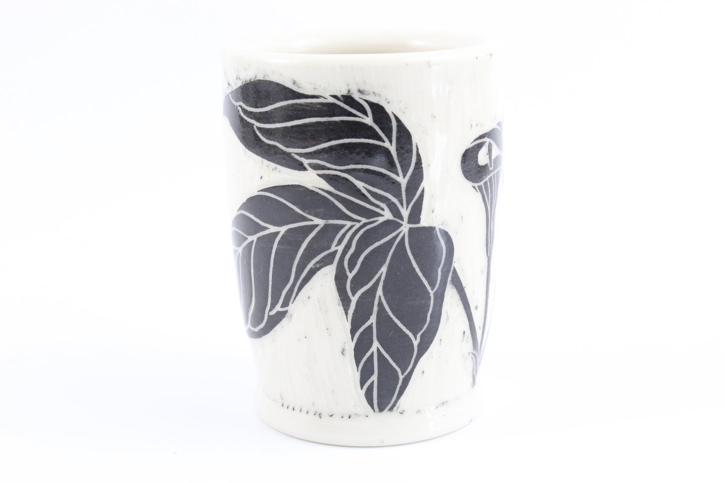 Jack in the Pulpit and Spring peeper vase