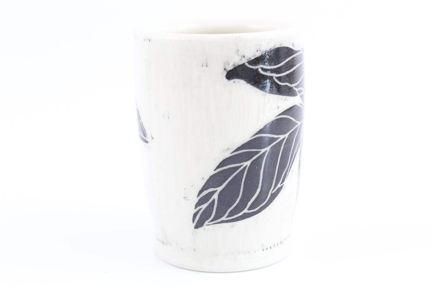 Jack in the Pulpit and Spring peeper vase