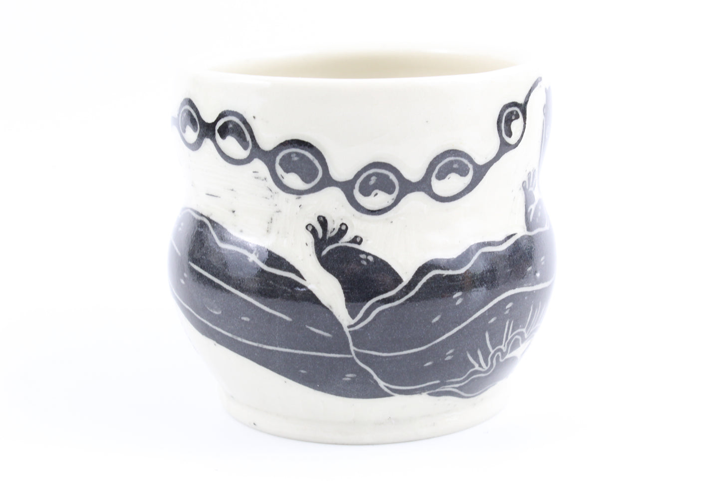 Hellbender and eggs mug
