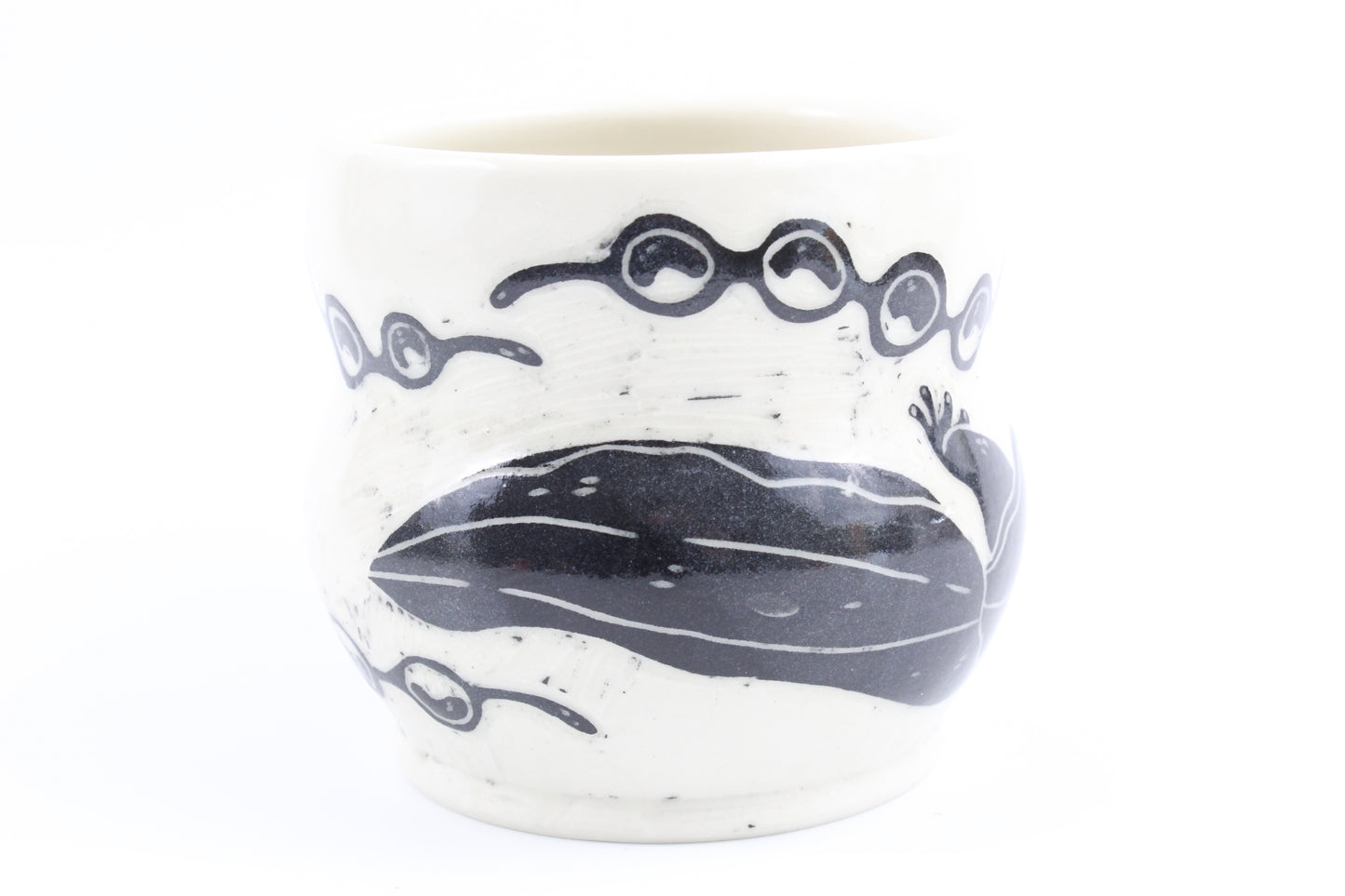 Hellbender and eggs mug