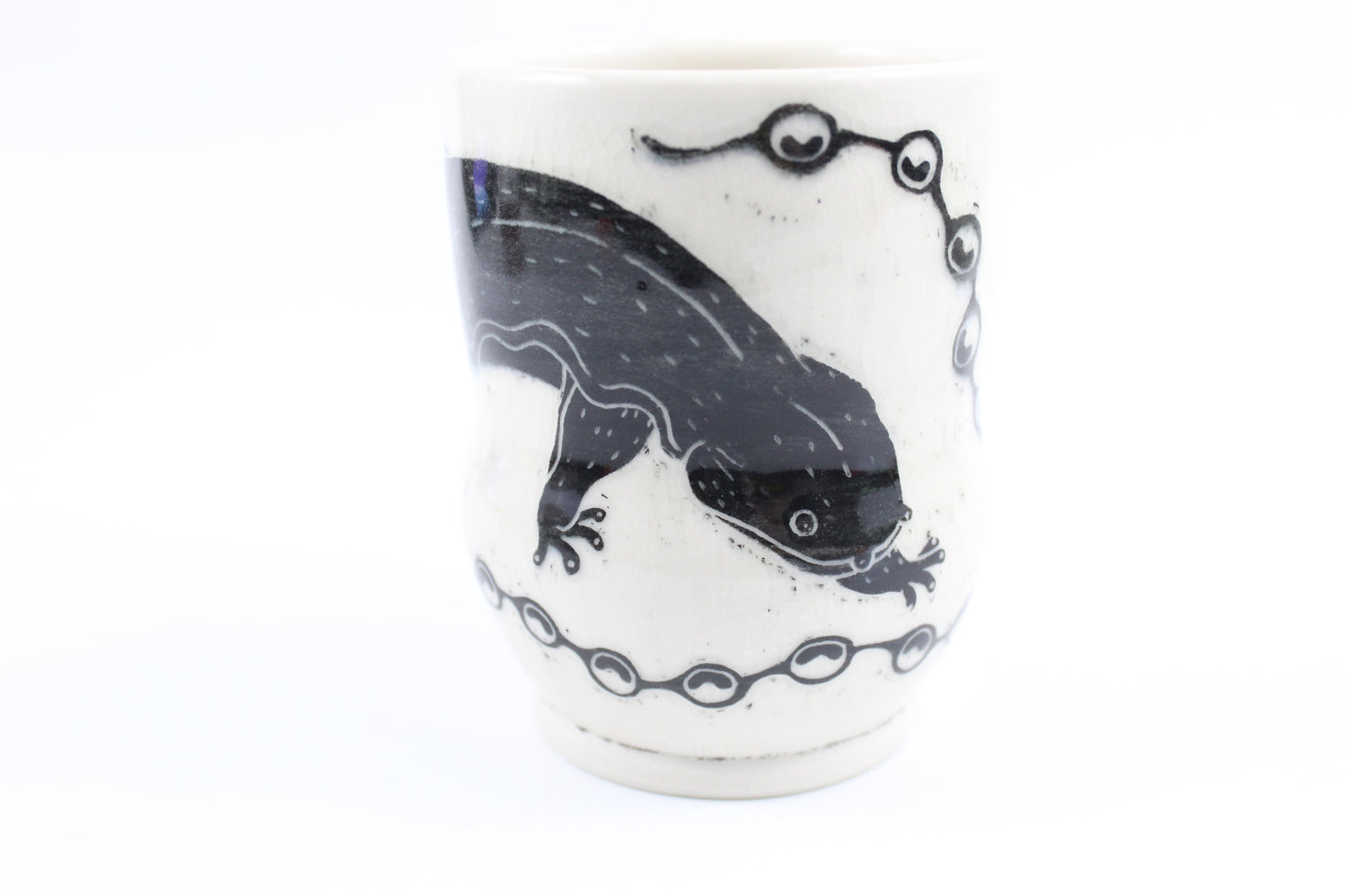 Hellbender and eggs tumbler